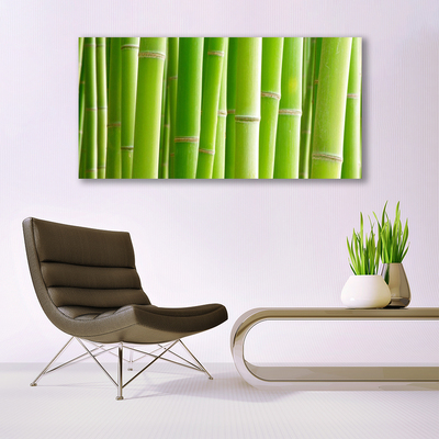 Canvas print Bamboo stalks floral green