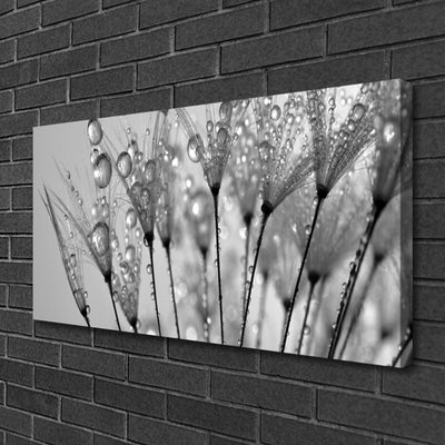 Canvas print Dandelion floral grey