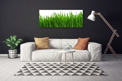 Canvas print Grass floral green