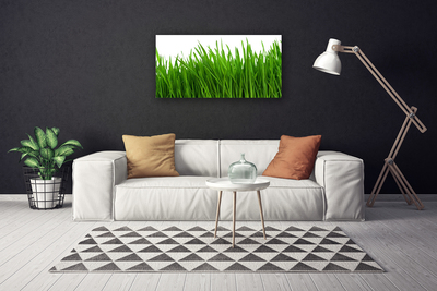 Canvas print Grass floral green