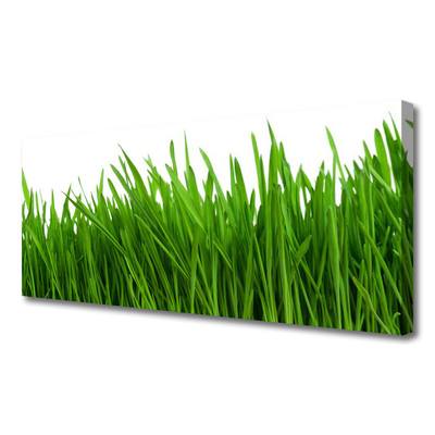 Canvas print Grass floral green