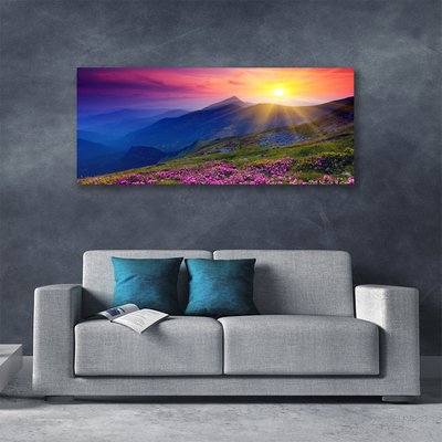 Canvas print Mountains flower meadow landscape blue pink green yellow
