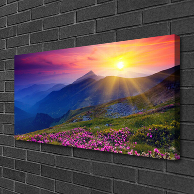 Canvas print Mountains flower meadow landscape blue pink green yellow