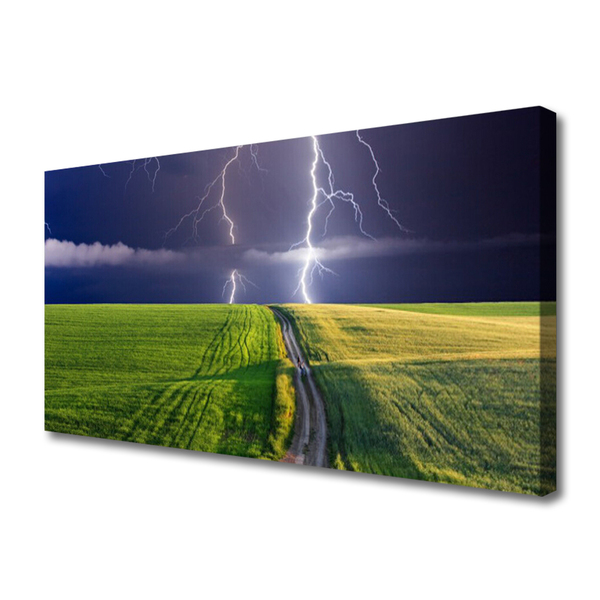 Canvas print Field path lightning landscape grey green purple white