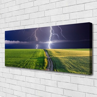 Canvas print Field path lightning landscape grey green purple white