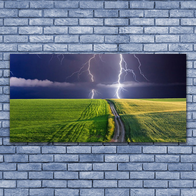 Canvas print Field path lightning landscape grey green purple white