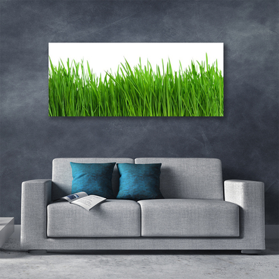 Canvas print Grass nature green