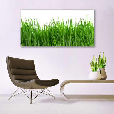 Canvas print Grass nature green