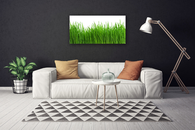 Canvas print Grass nature green