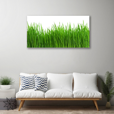 Canvas print Grass nature green