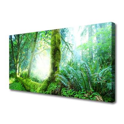 Canvas print Forest nature green