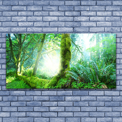 Canvas print Forest nature green