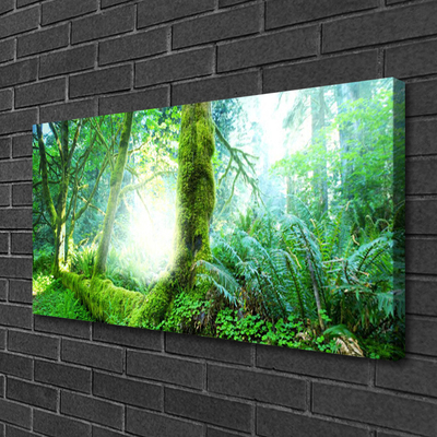 Canvas print Forest nature green