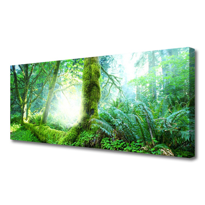 Canvas print Forest nature green