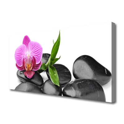 Canvas print Flower stones art pink black