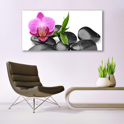 Canvas print Flower stones art pink black