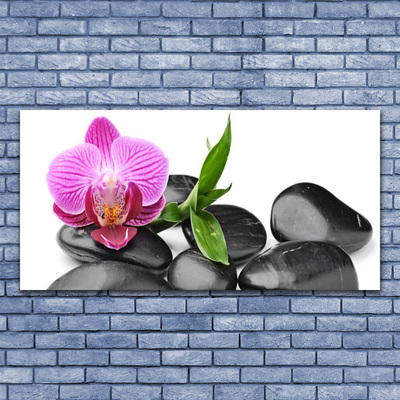 Canvas print Flower stones art pink black