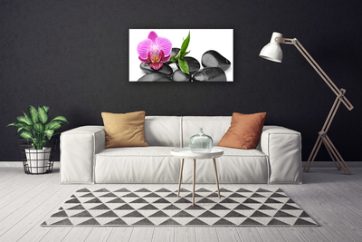 Canvas print Flower stones art pink black