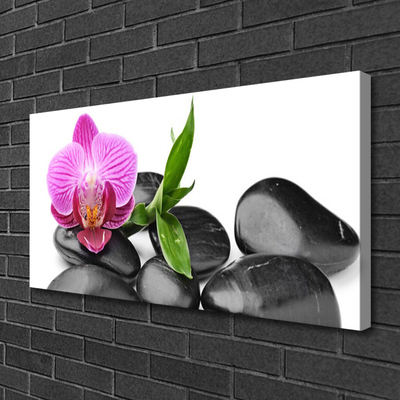 Canvas print Flower stones art pink black