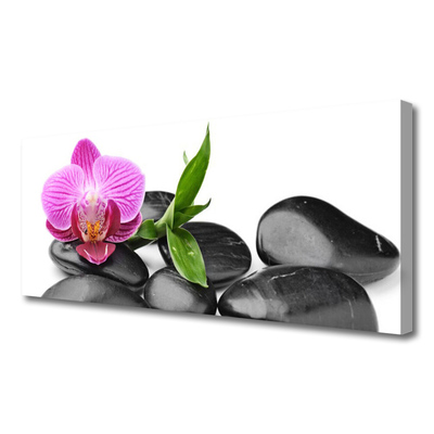 Canvas print Flower stones art pink black