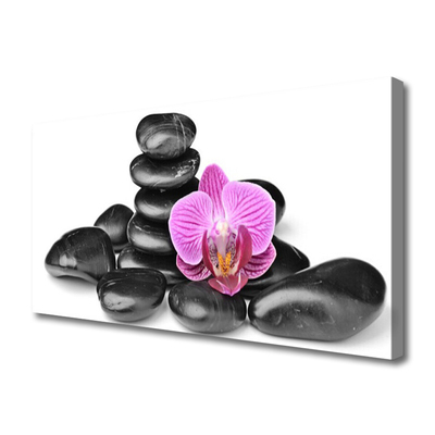 Canvas print Flower stones art pink black