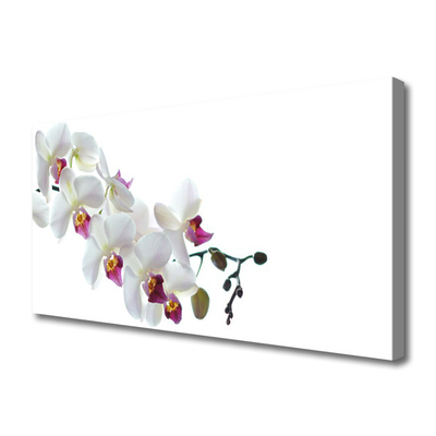 Canvas print Flowers floral white