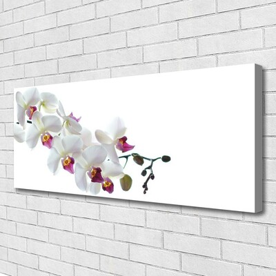 Canvas print Flowers floral white