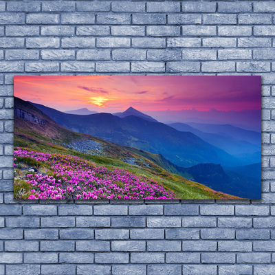 Canvas print Mountains meadow flowers landscape blue pink green yellow
