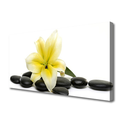 Canvas print Flower stones art white green black