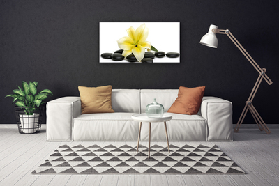 Canvas print Flower stones art white green black