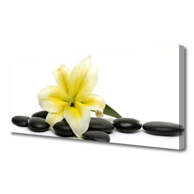 Canvas print Flower stones art white green black