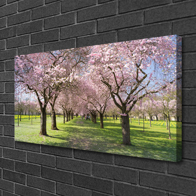 Canvas print Footpath trees nature brown green pink