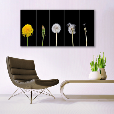 Canvas print Dandelion seed head floral yellow green white