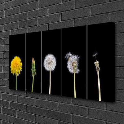 Canvas print Dandelion seed head floral yellow green white