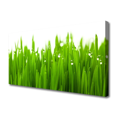 Canvas print Grass nature green