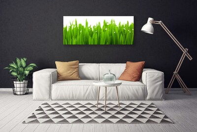 Canvas print Grass nature green