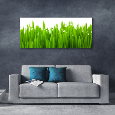 Canvas print Grass nature green