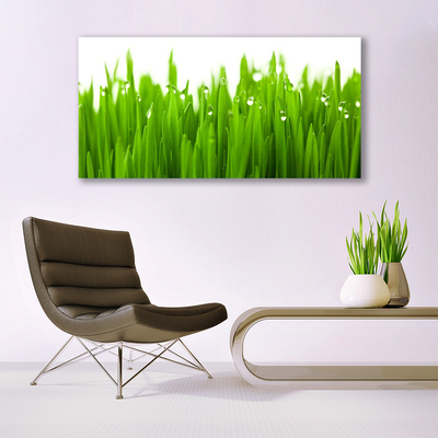 Canvas print Grass nature green