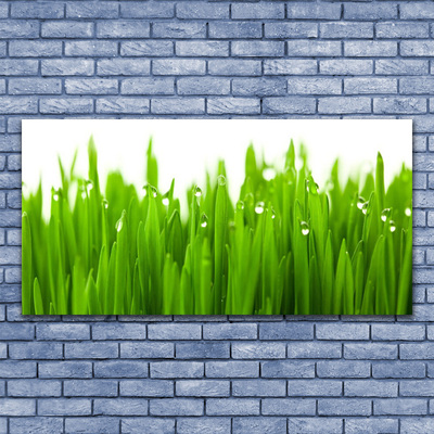 Canvas print Grass nature green