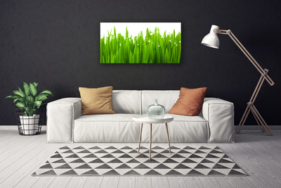 Canvas print Grass nature green