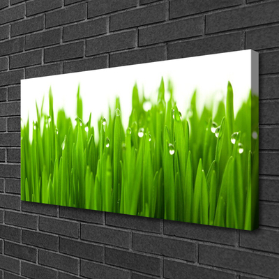 Canvas print Grass nature green