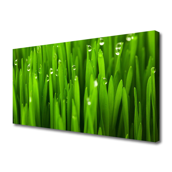 Canvas print Grass nature green