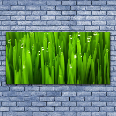 Canvas print Grass nature green