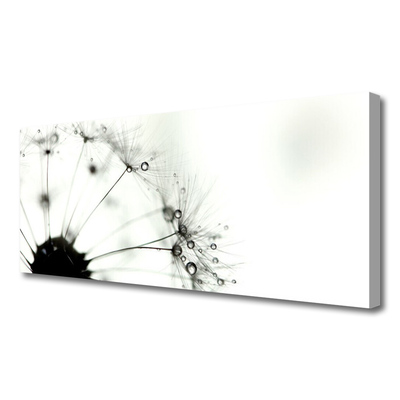 Canvas print Dandelion floral grey black