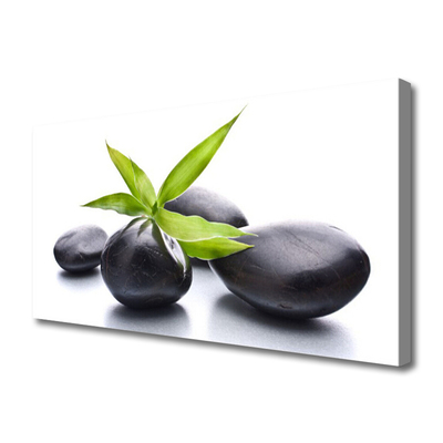 Canvas print Stones leaves art black green