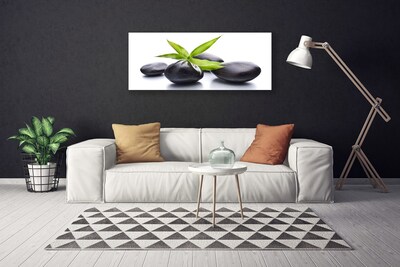 Canvas print Stones leaves art black green