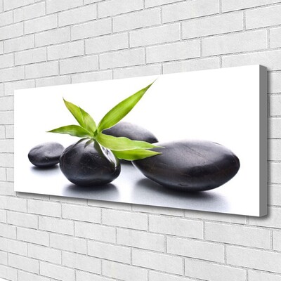 Canvas print Stones leaves art black green