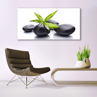 Canvas print Stones leaves art black green