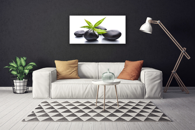 Canvas print Stones leaves art black green