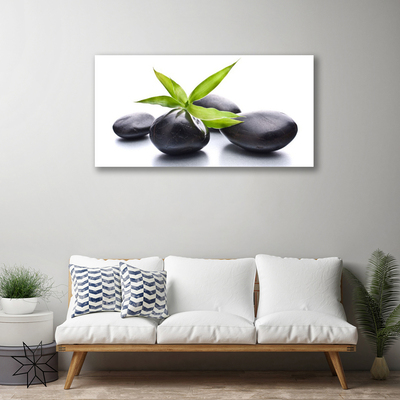 Canvas print Stones leaves art black green